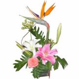 껨ʻٵ