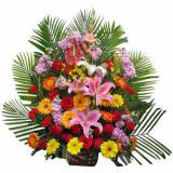 껨ʻٵ