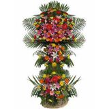 껨ʻٵ